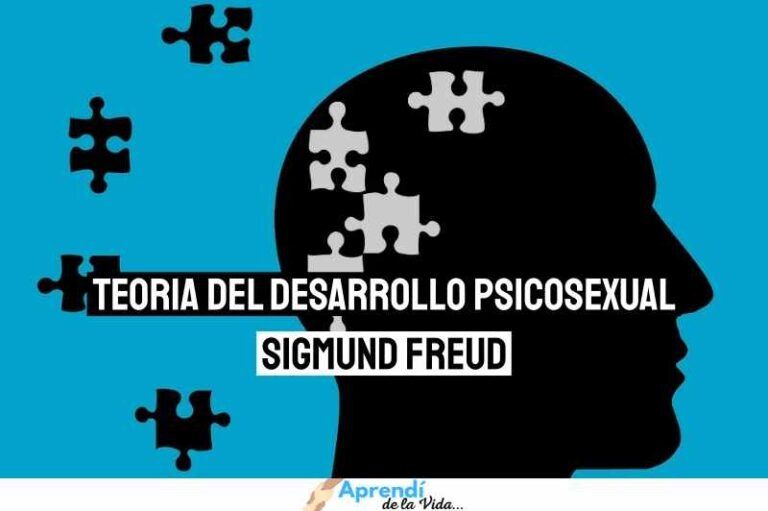 5 Etapas Del Desarrollo Psicosexual Por Sigmund Freud Explicación Fácil